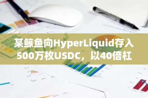 某鲸鱼向HyperLiquid存入500万枚USDC，以40倍杠杆做多BTC