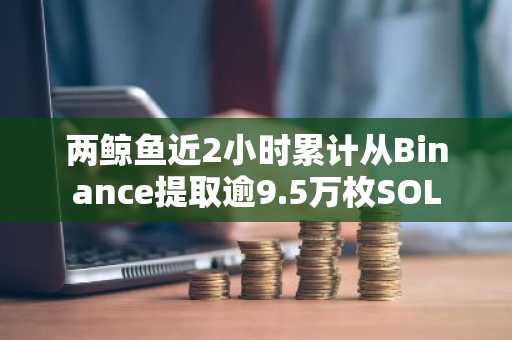 两鲸鱼近2小时累计从Binance提取逾9.5万枚SOL