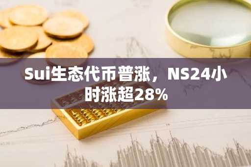 Sui生态代币普涨，NS24小时涨超28%