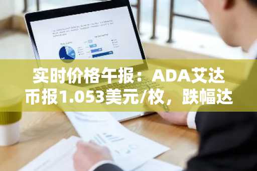 实时价格午报：ADA艾达币报1.053美元/枚，跌幅达-2.00%