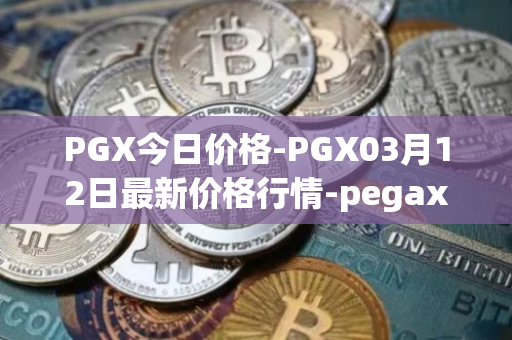 PGX今日价格-PGX03月12日最新价格行情-pegaxystone最新走势消息
