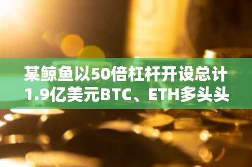 某鲸鱼以50倍杠杆开设总计1.9亿美元BTC、ETH多头头寸，面临极高清算风险