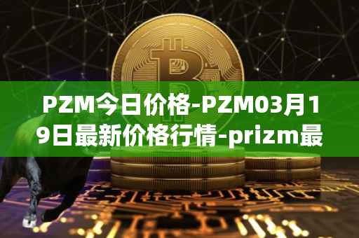 PZM今日价格-PZM03月19日最新价格行情-prizm最新走势消息