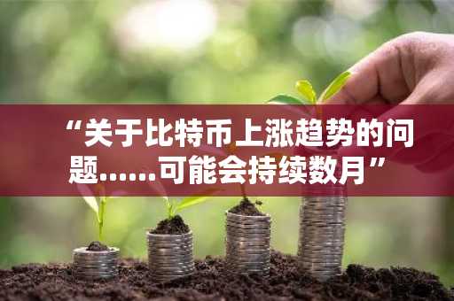 “关于比特币上涨趋势的问题......可能会持续数月”