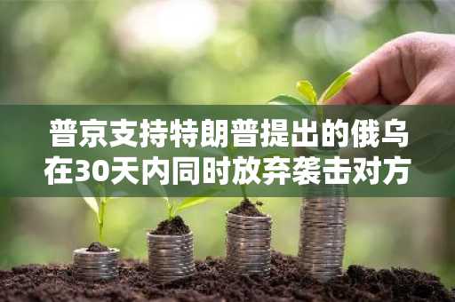 普京支持特朗普提出的俄乌在30天内同时放弃袭击对方能源基础设施的提议