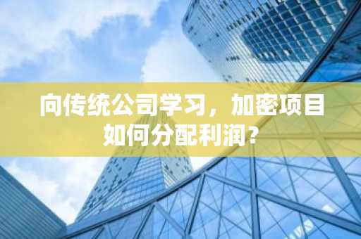 向传统公司学习，加密项目如何分配利润？