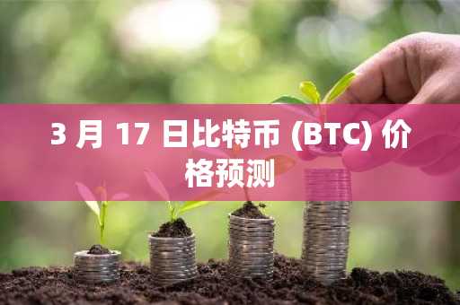 3 月 17 日比特币 (BTC) 价格预测