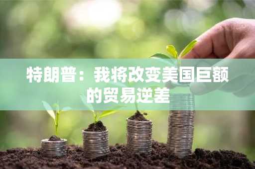 特朗普：我将改变美国巨额的贸易逆差