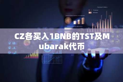 CZ各买入1BNB的TST及Mubarak代币