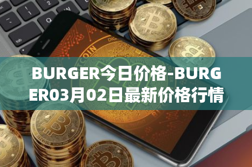BURGER今日价格-BURGER03月02日最新价格行情-burger-swap最新走势消息