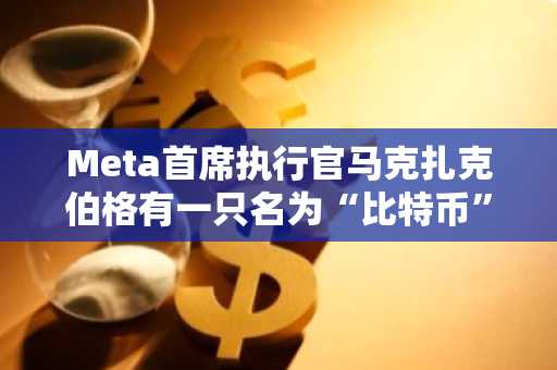Meta首席执行官马克扎克伯格有一只名为“比特币”的宠物山羊
