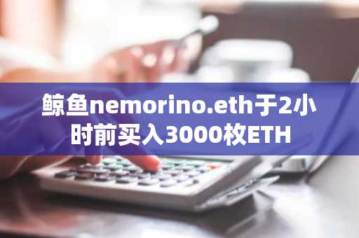 鲸鱼nemorino.eth于2小时前买入3000枚ETH