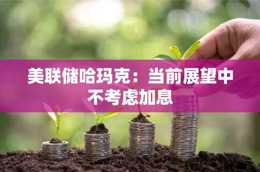 美联储哈玛克：当前展望中不考虑加息