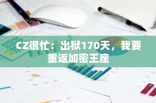 CZ很忙：出狱170天，我要重返加密王座