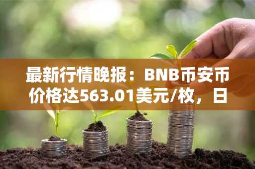 最新行情晚报：BNB币安币价格达563.01美元/枚，日内涨幅1.03%
