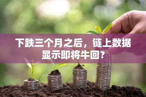 下跌三个月之后，链上数据显示即将牛回？