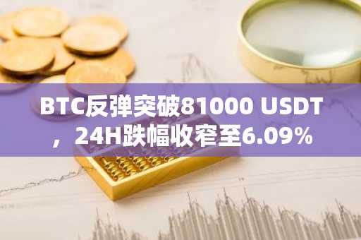 BTC反弹突破81000 USDT，24H跌幅收窄至6.09%