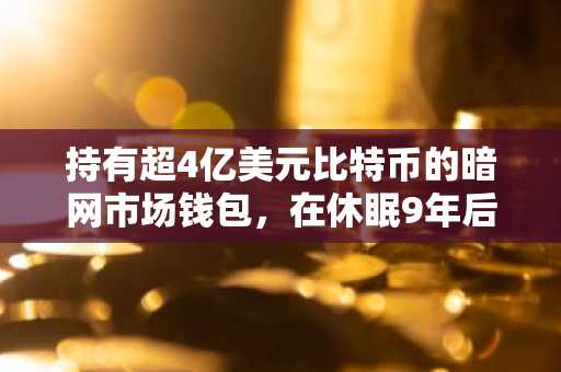 持有超4亿美元比特币的暗网市场钱包，在休眠9年后被激活