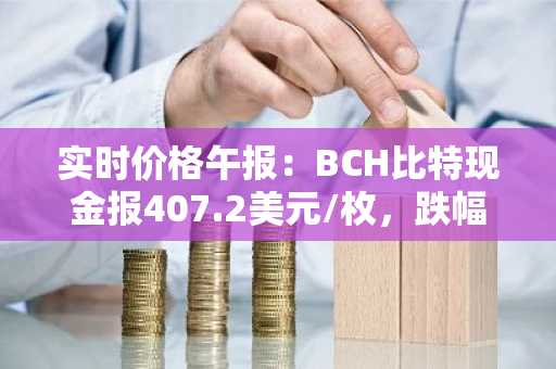 实时价格午报：BCH比特现金报407.2美元/枚，跌幅达-3.00%