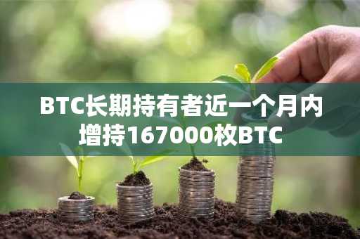 BTC长期持有者近一个月内增持167000枚BTC