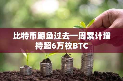 比特币鲸鱼过去一周累计增持超6万枚BTC