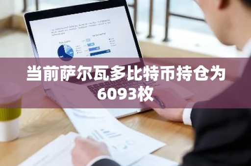 当前萨尔瓦多比特币持仓为6093枚