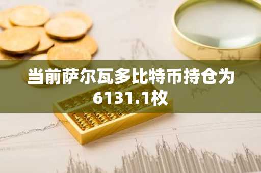 当前萨尔瓦多比特币持仓为6131.1枚