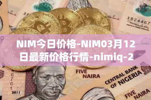 NIM今日价格-NIM03月12日最新价格行情-nimiq-2最新走势消息