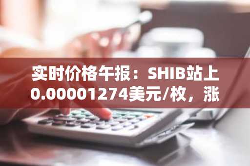 实时价格午报：SHIB站上0.00001274美元/枚，涨幅达2.00%