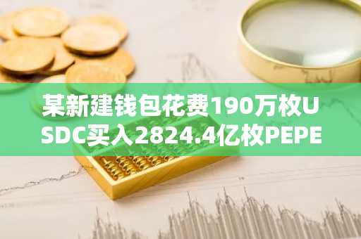 某新建钱包花费190万枚USDC买入2824.4亿枚PEPE