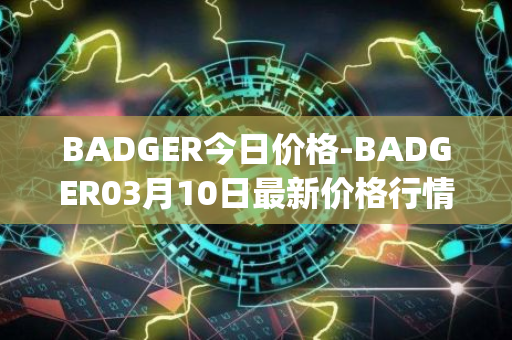 BADGER今日价格-BADGER03月10日最新价格行情-badger-dao最新走势消息