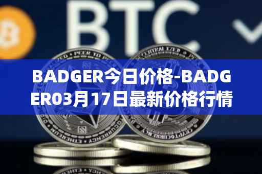 BADGER今日价格-BADGER03月17日最新价格行情-badger-dao最新走势消息