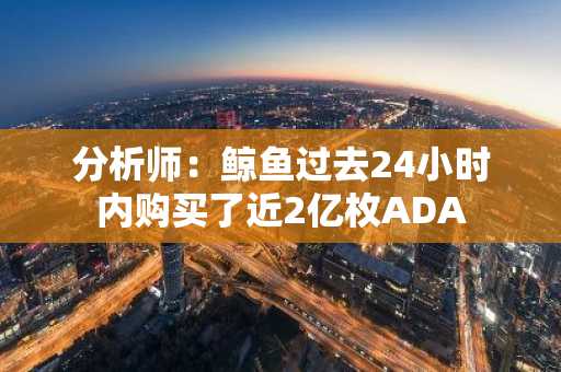 分析师：鲸鱼过去24小时内购买了近2亿枚ADA