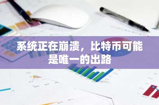 系统正在崩溃，比特币可能是唯一的出路