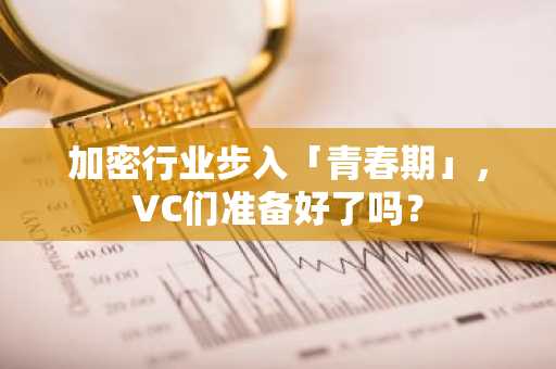 加密行业步入「青春期」，VC们准备好了吗？