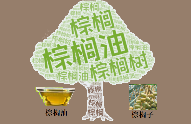 棕榈油单日暴跌3.56%：贸易政策冲击叠加油脂链共振下行