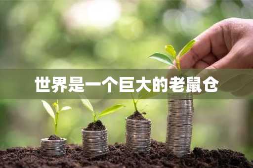 世界是一个巨大的老鼠仓