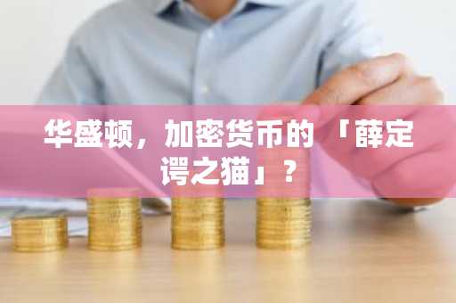 华盛顿，加密货币的 「薛定谔之猫」？